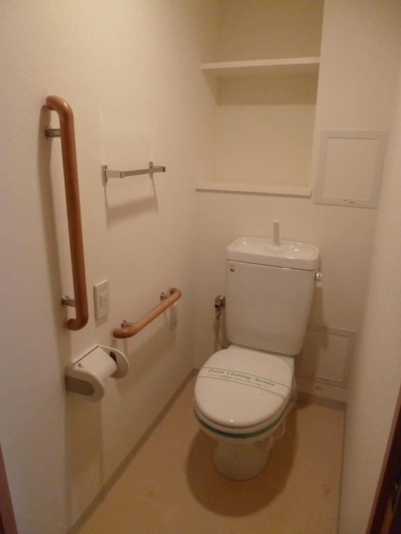 Toilet. Toilets are spread bright. handrail, With shelf. No step.