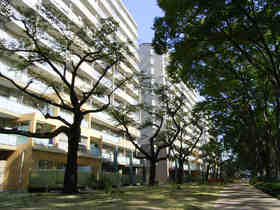 Building appearance