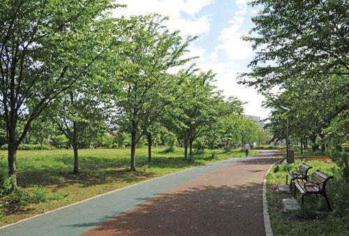 Other. A 20-minute walk from the natural rich "West Tokyo rest of the forest park". Or a refreshing walk and exercise holiday family gathered to be, Perfect park to allow play freely with small children.