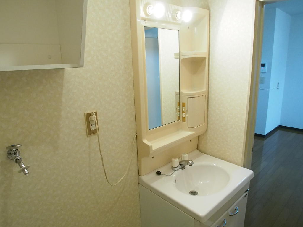 Washroom. Entrance