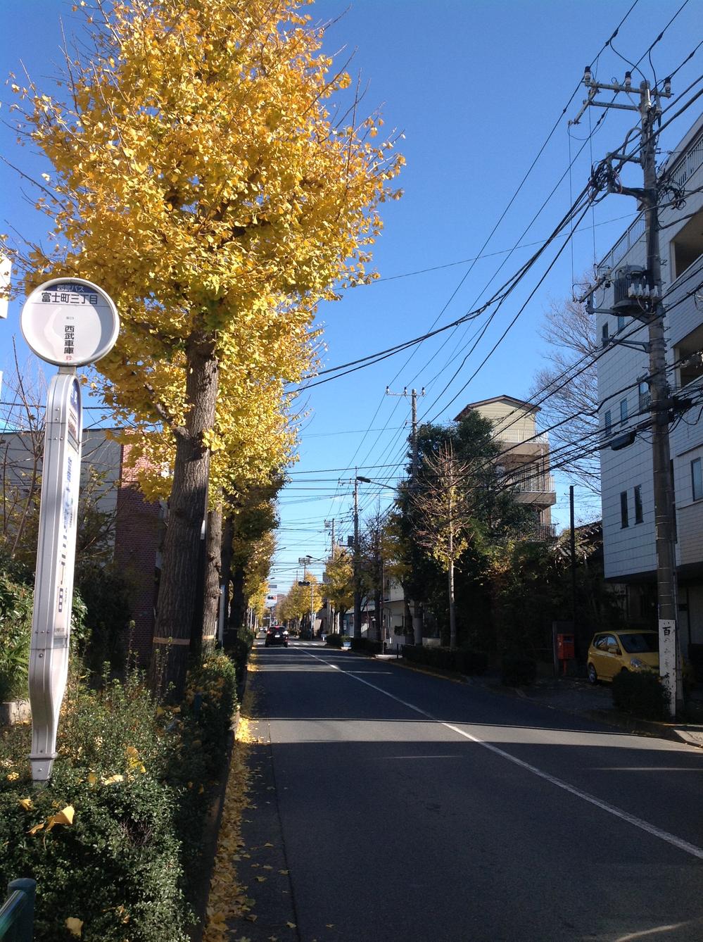 Local photos, including front road. 20m to the nearest bus stop "Fuji-cho 3-chome"! 