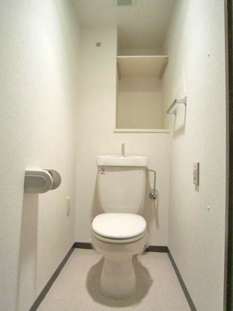 Toilet. With shelf