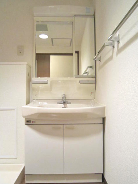 Washroom. Bathroom vanity