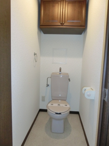 Toilet. Storage toilet