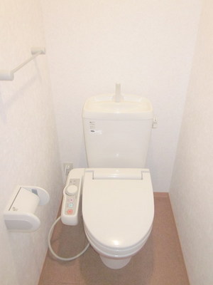 Toilet. With warm water washing toilet seat