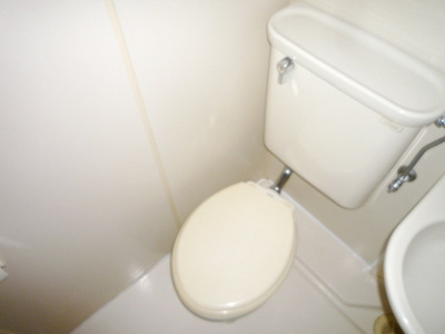 Toilet. Toilet
