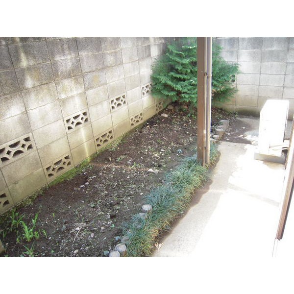 Garden. Garden