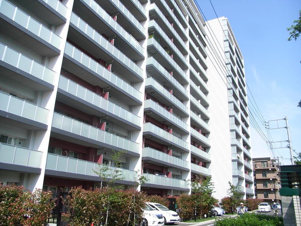 Local appearance photo. Local (11 May 2012) shooting