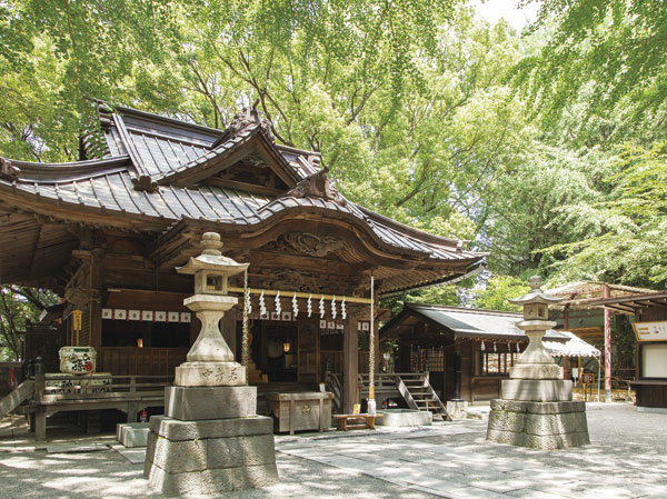 Surrounding environment. Tanashi Shrine (about 280m ・ 4-minute walk)