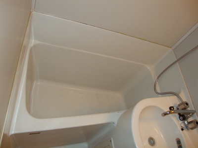 Bath. Comfortable bath