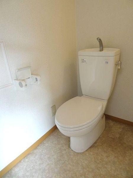 Toilet. Toilet