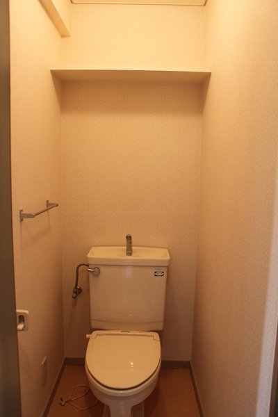 Toilet. It comes with a shelf! !