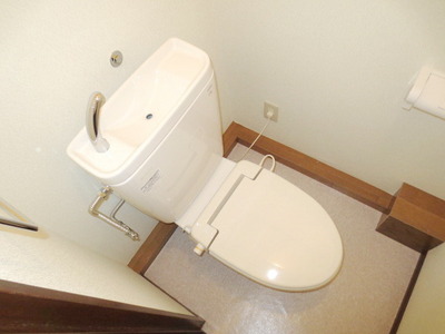 Toilet. Western-style toilet