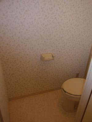 Toilet