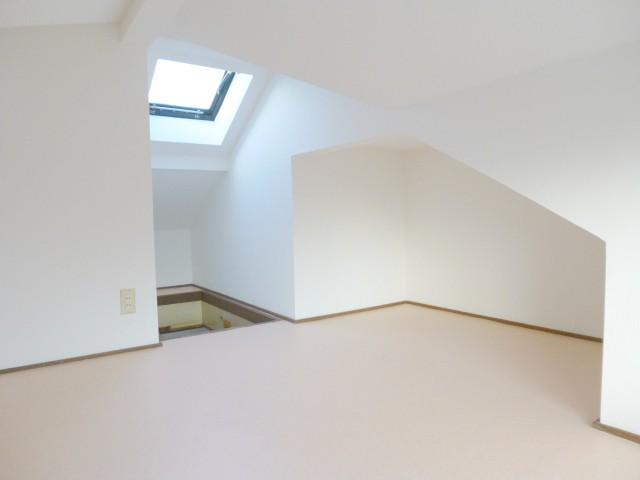 Other introspection. Spacious attic space
