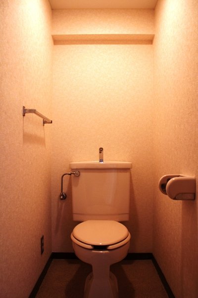 Toilet. Toilet
