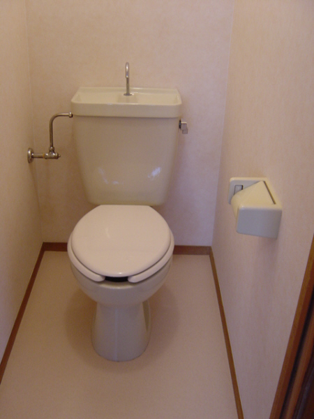 Toilet. Toilet