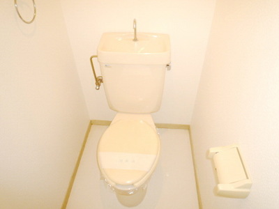 Toilet. Toilet