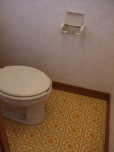 Toilet