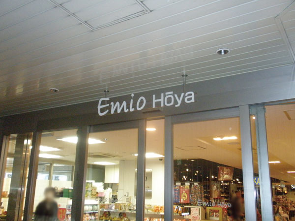 Surrounding environment. Emio Hoya store (8-minute walk / About 580m)