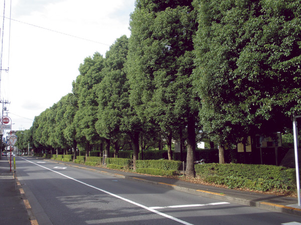 Surrounding environment. Around a tree-lined street (a 5-minute walk / About 400m)