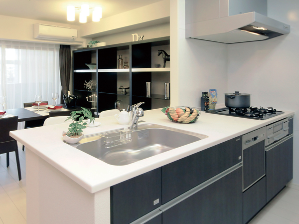 Room and equipment. Artificial marble integrated counter, In dish washing and drying machine and a three-necked gas stove adoption of such, Sophisticated equipment combines the beauty and functionality ・ Specification is. (kitchen)
