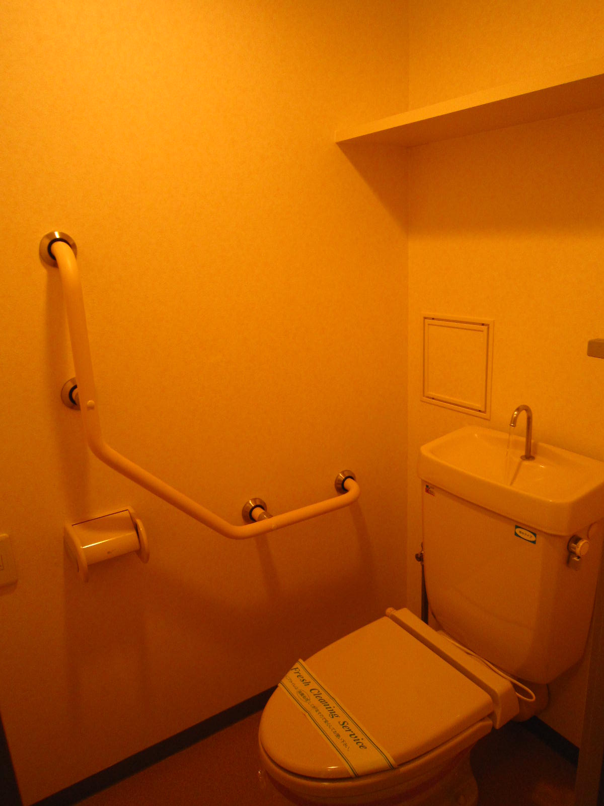 Toilet. Also spread toilet. shelf, With handrail.