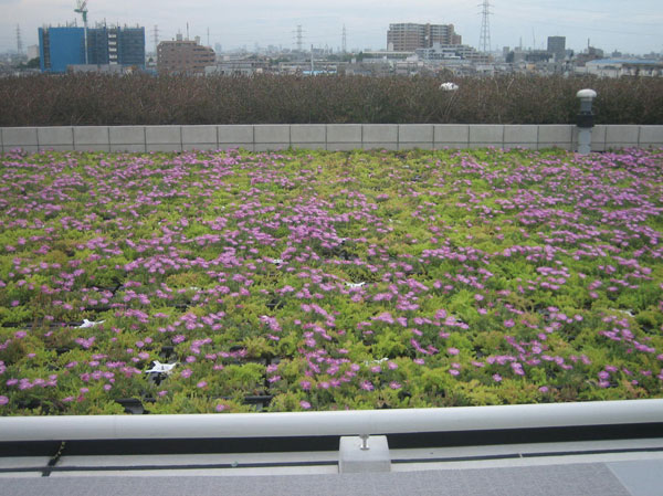 Features of the building.  [Rooftop gardens that are friendly to the global environment] People and the city, And decorate the future "green roof". Introducing a green roof that gives moisture to the living and cityscapes. It is also effective, such as relaxation of the heat island phenomenon.