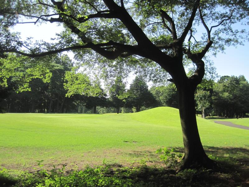 park. 400m to Koganei Park