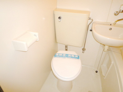 Toilet. Toilet with cleanliness