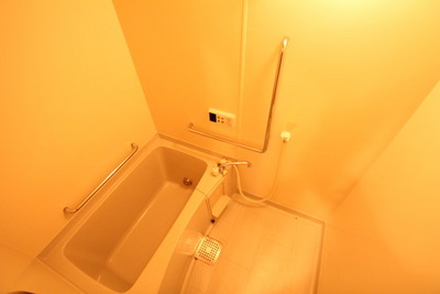 Bath. Bath with shower! 