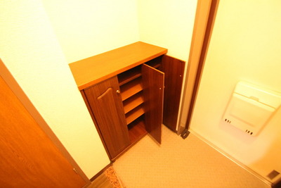 Entrance. With happy cupboard! 
