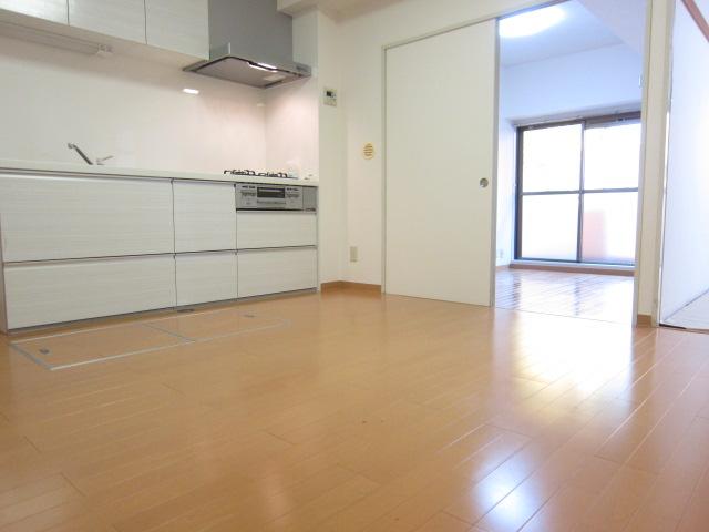 Living. Indoor (11 May 2013) Shooting