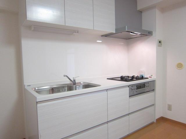 Kitchen. Indoor (11 May 2013) Shooting