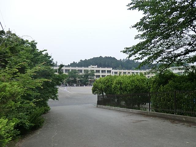 Primary school. Ome Municipal fourth to elementary school 295m