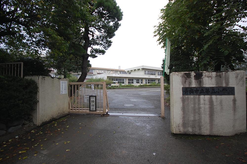 Primary school. Ome Municipal fifth to elementary school 3051m