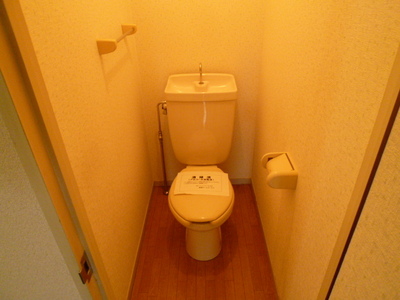 Toilet. ☆ Western-style toilet ☆