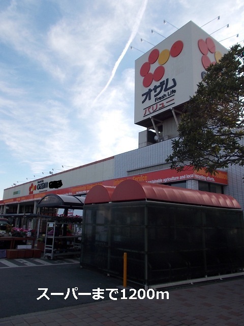 Supermarket. 1200m until Super Ozamu (Super)