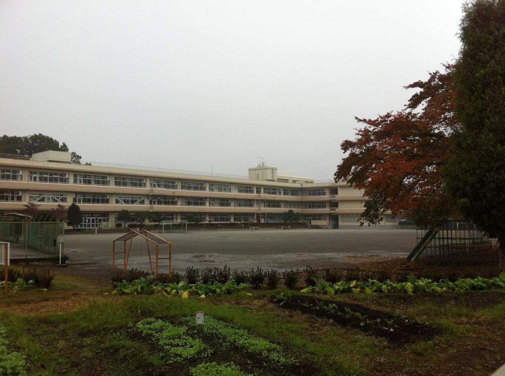 Primary school. Municipal Shinmachi 150m up to elementary school