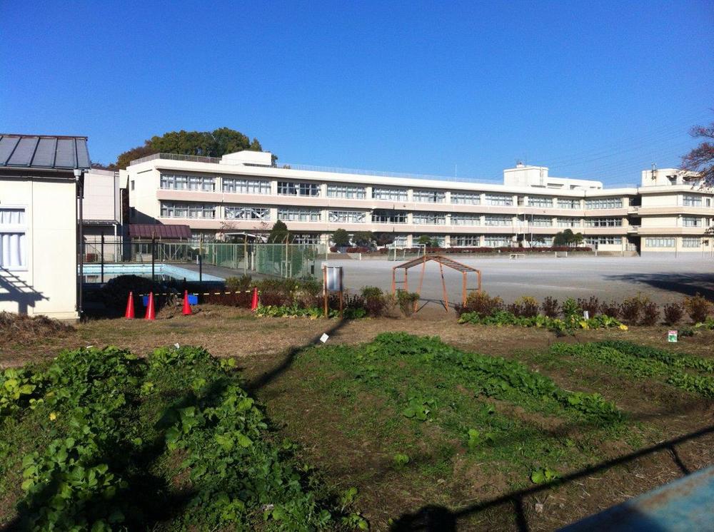Other. Shinmachi Elementary School about 150m
