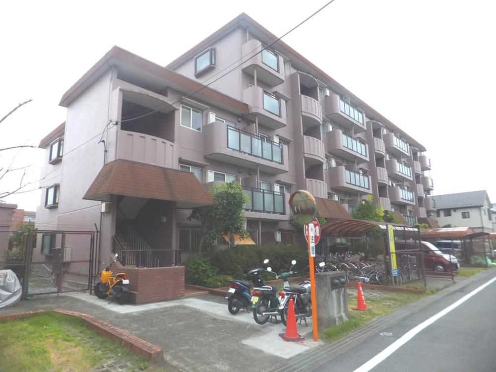 Local appearance photo. Local (August 2013) Shooting