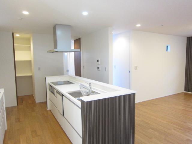 Kitchen. Indoor (11 May 2013) Shooting