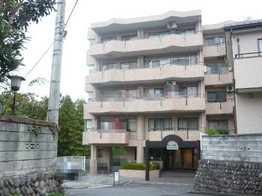 Local appearance photo. Appearance 1