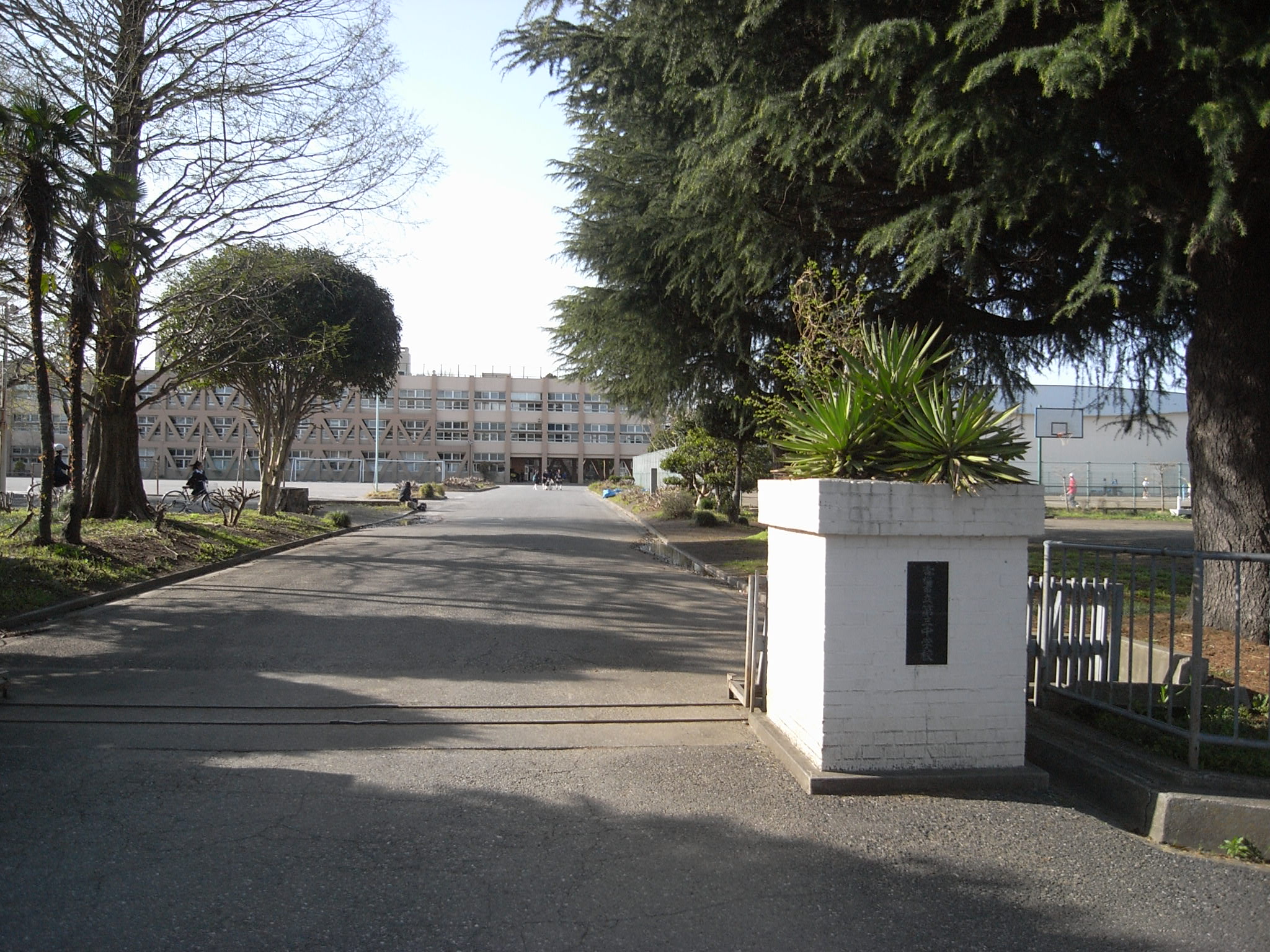 Junior high school. 500m to Ome Tatsudai three junior high school (junior high school)