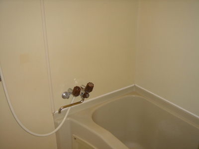 Bath. Bathroom