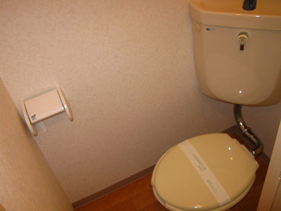 Toilet. Toilet