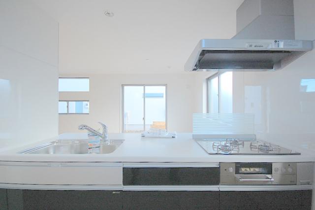 Kitchen. The company construction cases