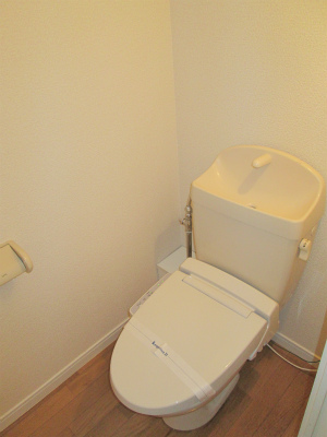 Toilet. With warm water washing toilet seat