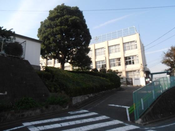 Junior high school. Municipal Magomehigashi until junior high school 240m