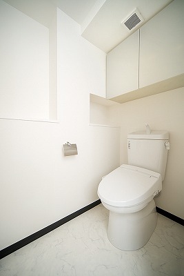 Toilet. With Washlet!